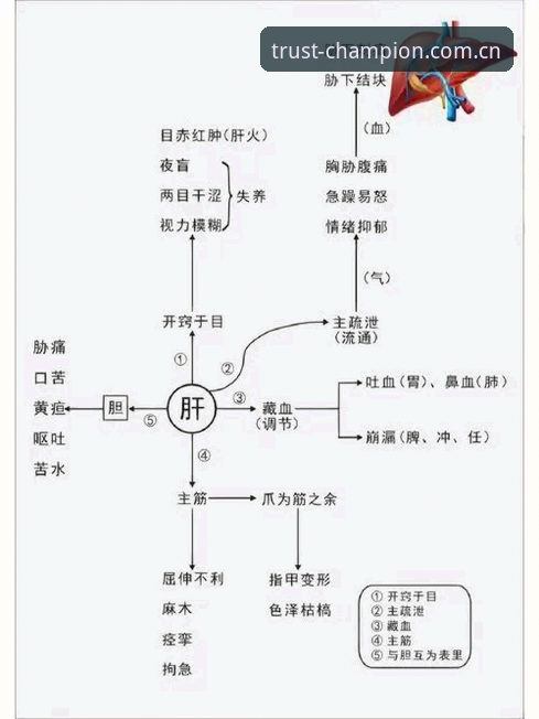 冠军品牌精神功能详解 7个关键点详解冠军品牌精神功能:从新手到达人的进阶指南